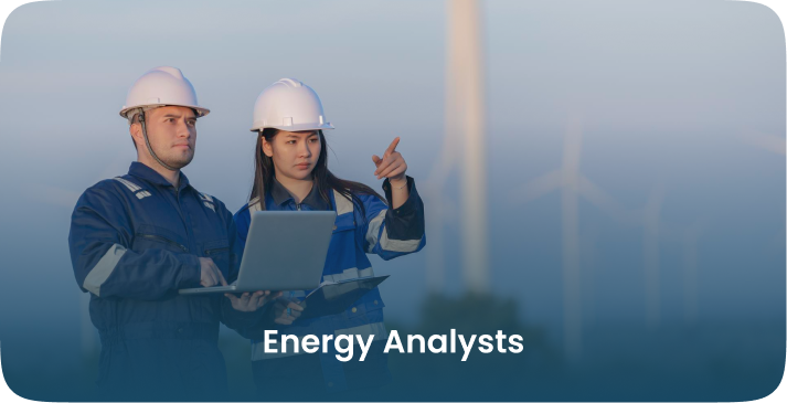 Energy Analysts