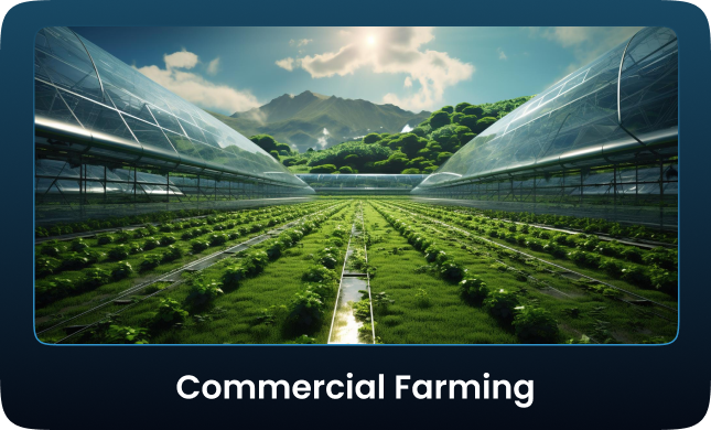 Commercial Farming