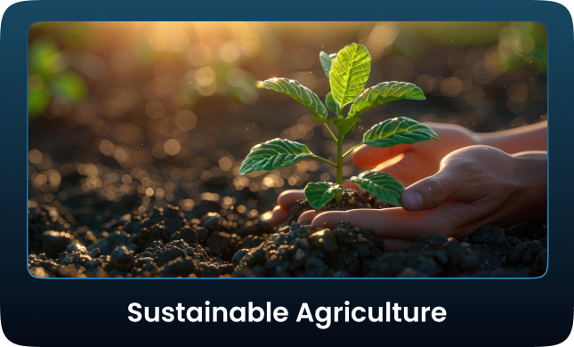 Sustainable Agriculture