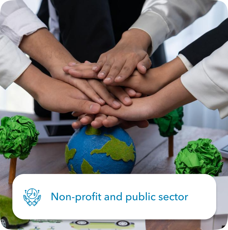 Non-profit and public sector