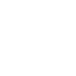 Specialization in<br>IT Roles & Technologies